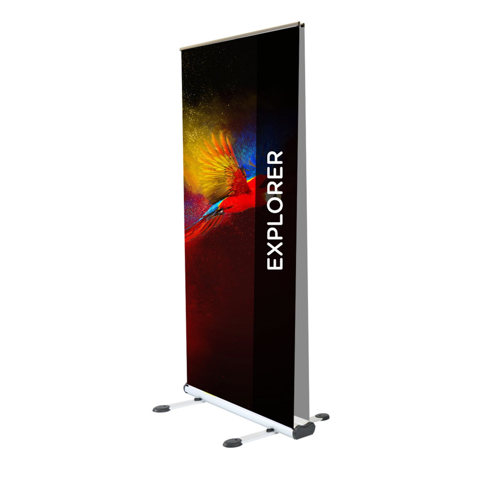 Outdoor Double-Sided Explorer